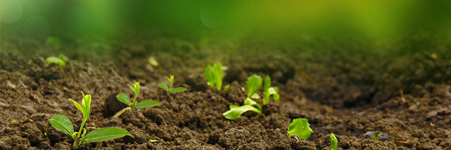 固體廢物、土壤和沉積物